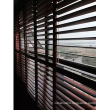 89mm 114mm Real Basswood Shutters Quality Shutters (SGD-S-5976)